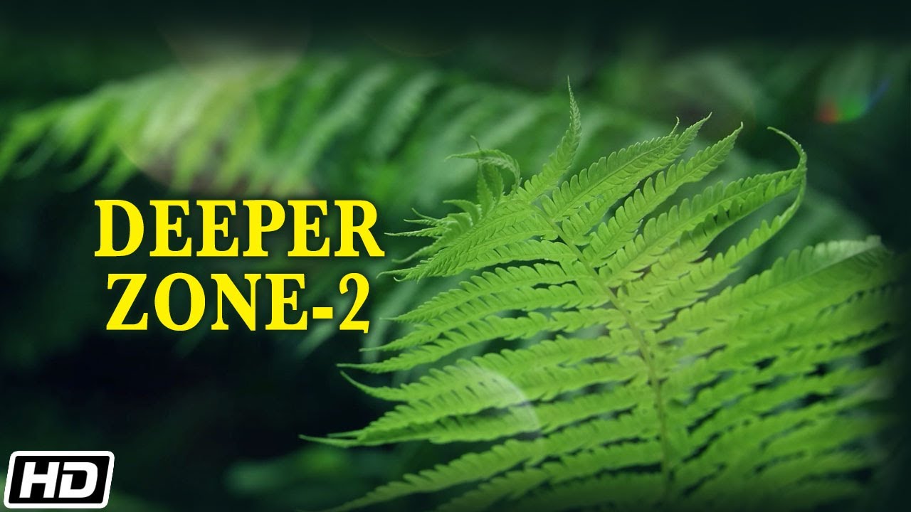 Deeper Zone 2 | Instrumental Music | Rakesh Chaurasia | Anupam Chatterjee | Hemant Mattani