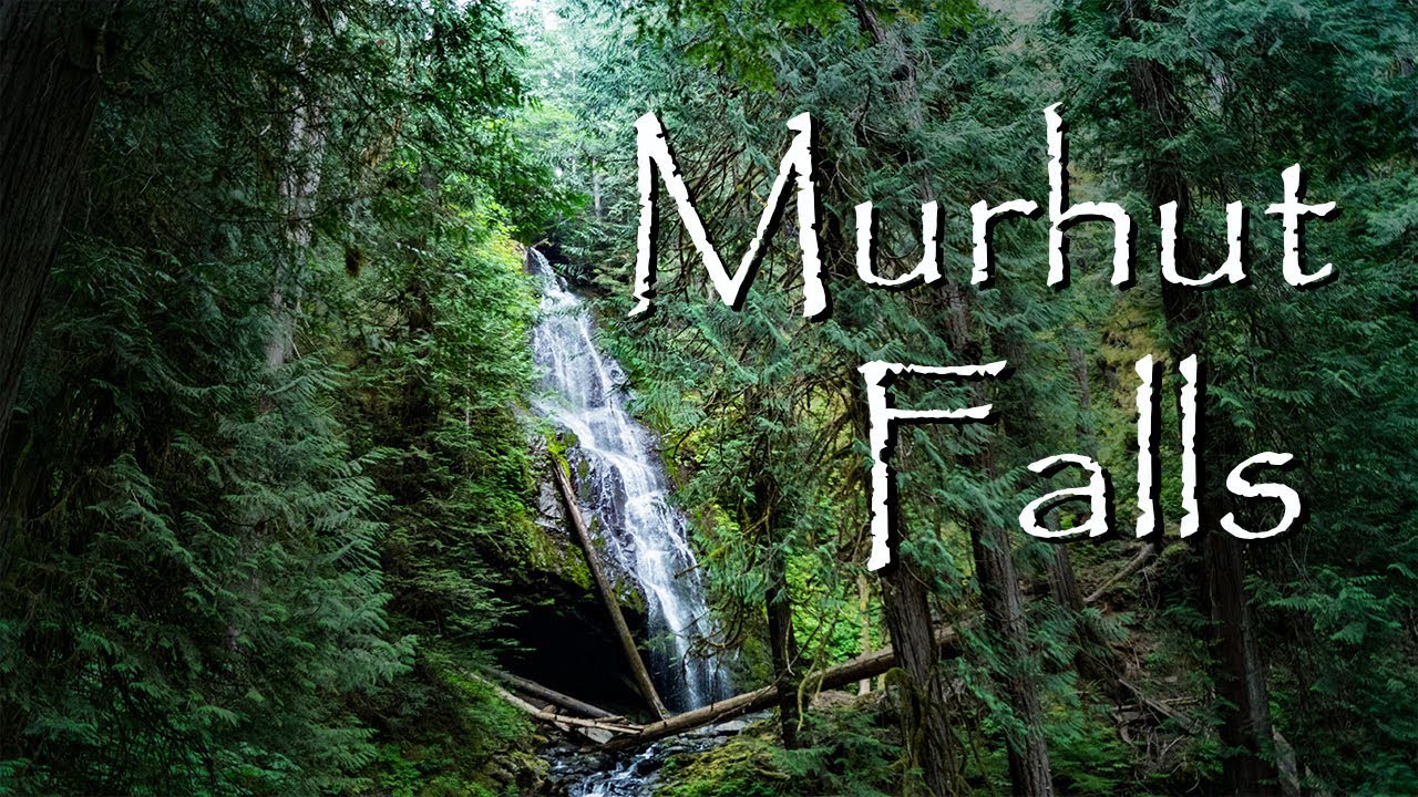 Murhut Falls trail in the Olympic National Forest near Brinnon, Washington