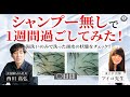 湯洗いのみで1週間過ごしたら頭皮がどうなるか