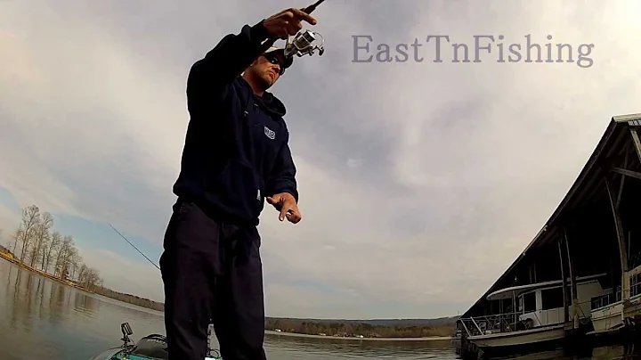 How to Finesse Monster Bass- David Heptinstall 7.5...