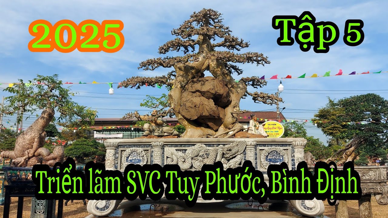 Triển lãm cây cảnh Tuy Phước, Bình Định 2025