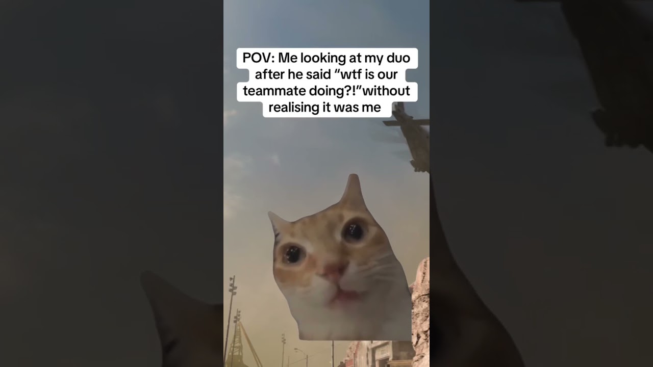 Don't hurt my feelings 😭 