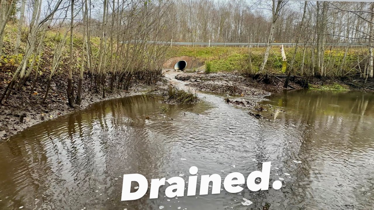 After the Beaver Dam Removal – Stream Finally Flows Again