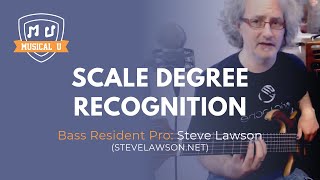 Bass: Scale Degree Recognition (Resource Pack Preview) screenshot 4