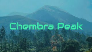 Chembra Peak🏔️, Wayanad🍃 | A Trek You'll Never Forget! ✨🌿.. #travel#youtube#viral#nature#mountains