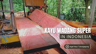 Langka !! Inilah Wujud Kayu Wadang Primadhona Desa, Pesonanya Mendunia