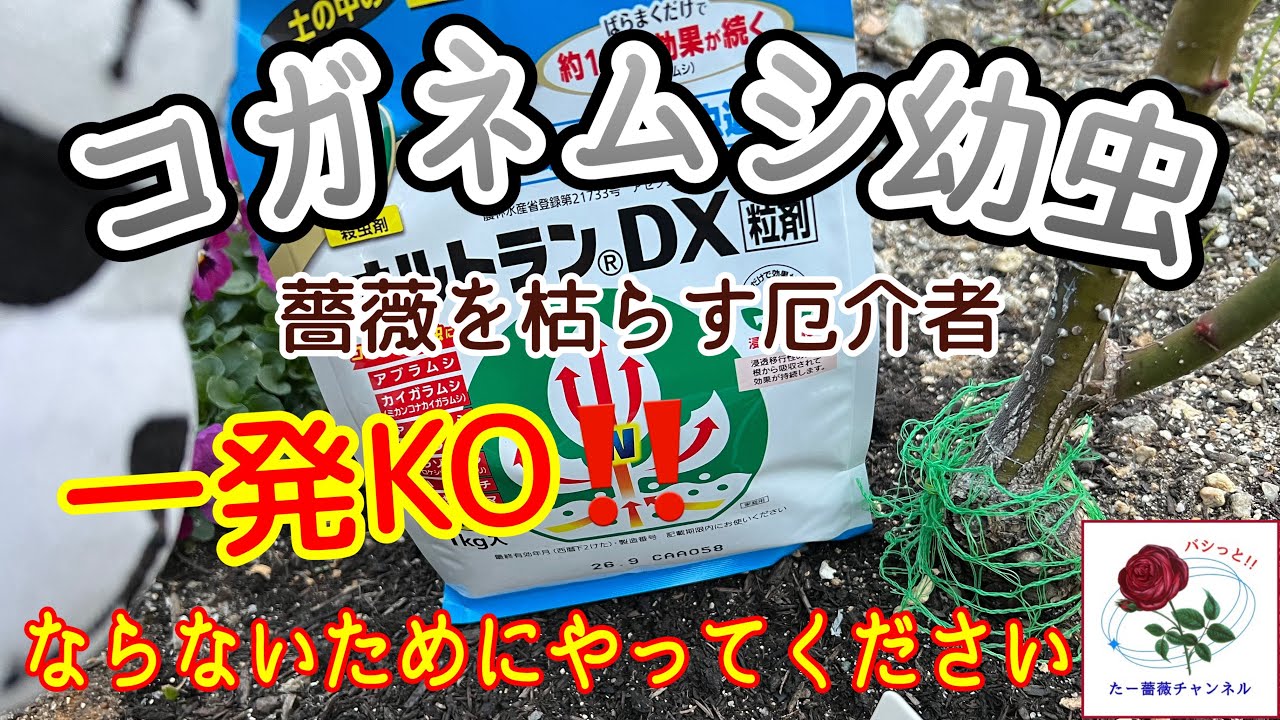 kona様 リクエスト 3点 まとめ商品 【公式ショッピングサイト】