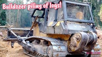 Bulldozer Komatsu D85 ESS-2 piling of logs!