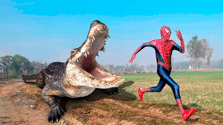 Homem Aranha e o Monstro Jacaré (Histórias de Super Heróis )