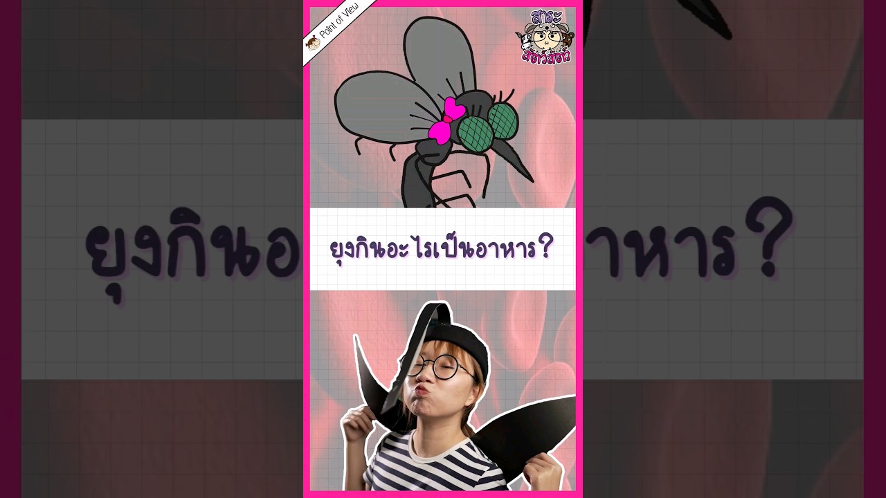 ยุงไม่ได้กินเลือดเป็นอาหาร  #pointofview #วิวเอ๋ยบอกข้าเถิด #สาระสัตว์สัตว์