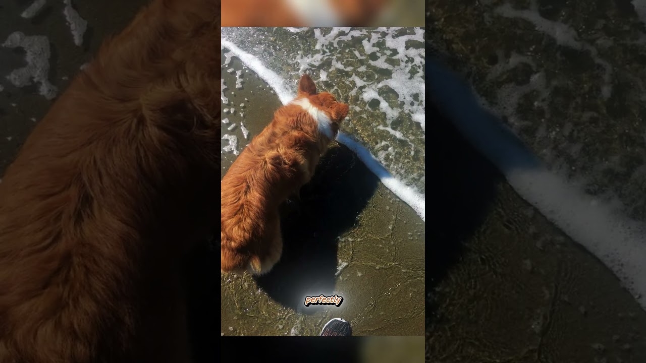 Rare Photos You've Probably Never Seen Before! 