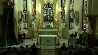 15th Sunday in Ordinary Times