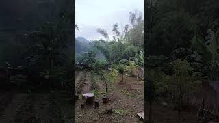 3HAL PENGHAMBAT REJEKI LANCAR #shorts