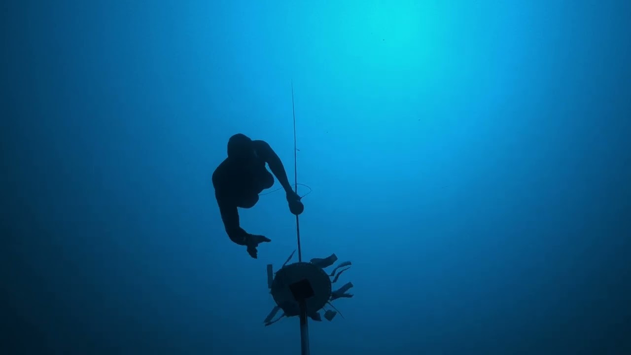 103 CNF + bottom cam