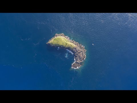 Video: Der Nationalstolz Der Pazifischen Inseln - Plumeria