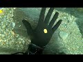 FINDING HUGE GOLD NUGGETS UNDERWATER!