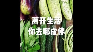 201505 离开生活你去哪成佛22125