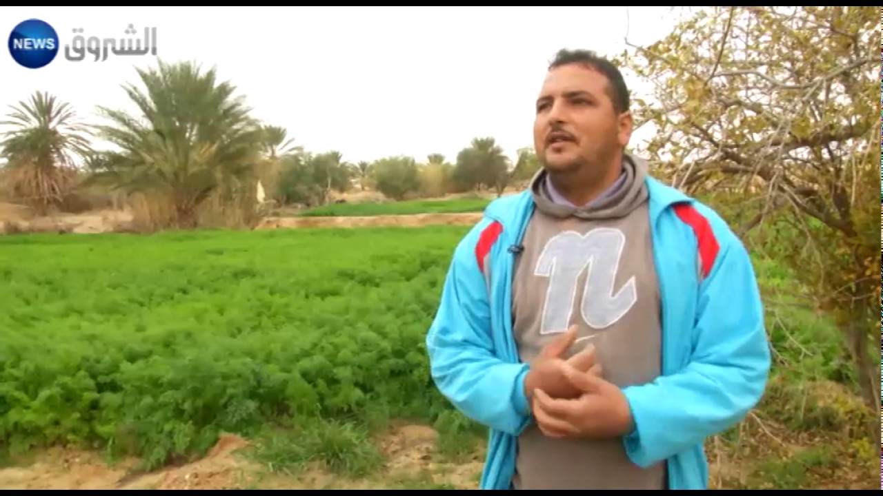 تبسة: بتيتة مستقبل زراعي واعد ودعم الدولة غائب