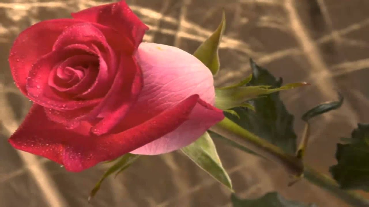 Feel better soon :) Hope