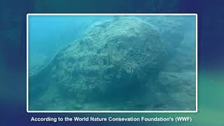 Our Seas Our Future