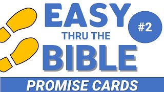 I Love to Tell the Story Seminar: # 2 PROMISE CARDS (Story of the Bible)