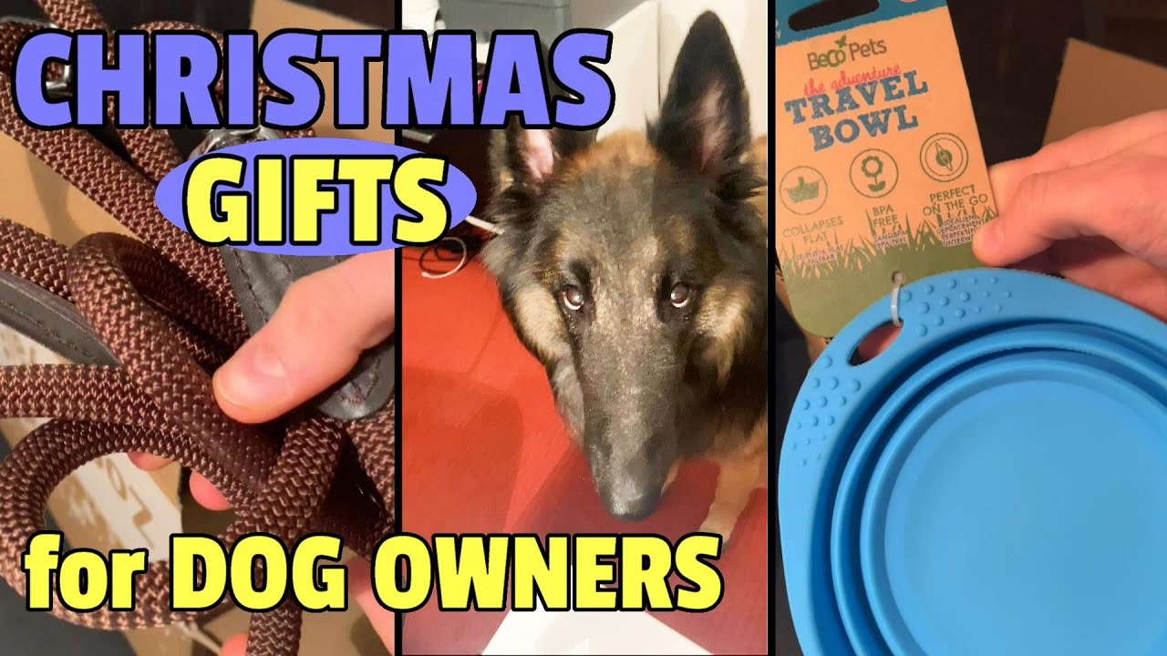 Your Dog Needs these! 4 Best Christmas Gift Ideas for Dog Owners 