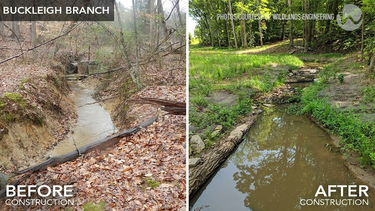 Catawba Lands Conservancy - Forney Creek | Non-profit Brand video