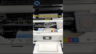 Printer Belt