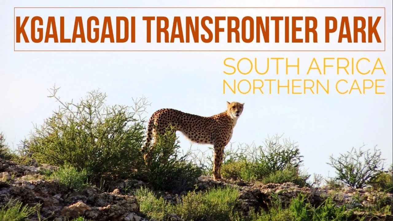 How Big Is Kgalagadi Transfrontier Park How Big Is Kgalagadi Transfrontier Park