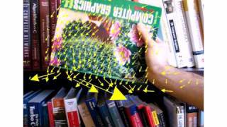 Famous CS 4501: Computer Vision || Assignment 3: Optical Flow Wealth