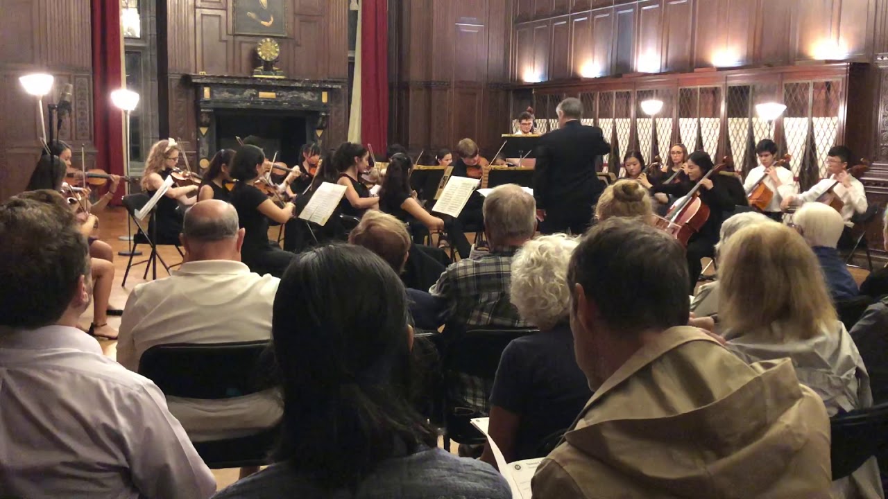 New York Music Festival 2019 Orchestra 3