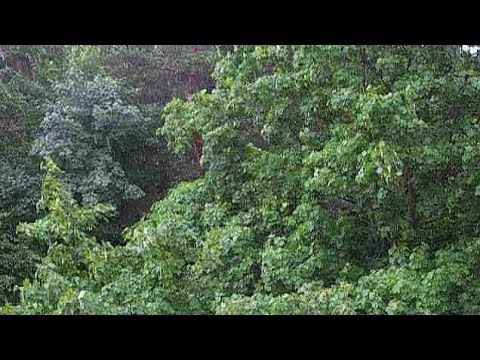 Футажи для видеомонтажа. Ливень. Сильный дождь видео. Ливень видео. Видеофутажи