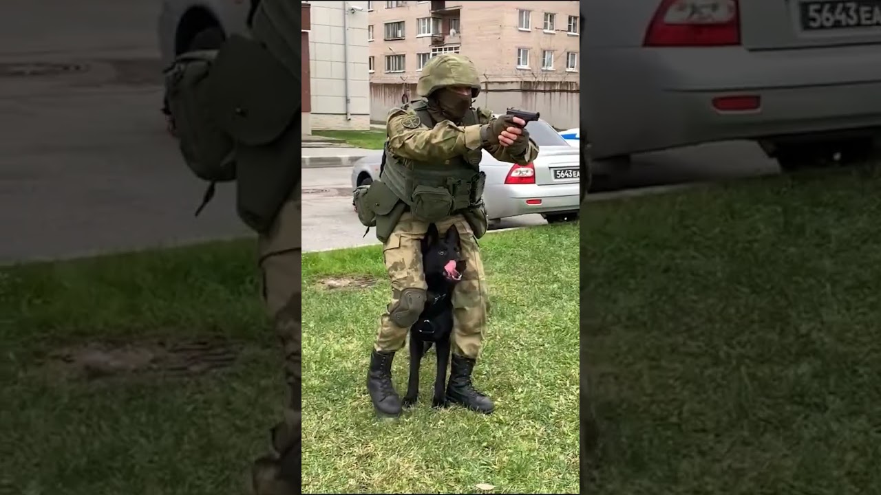 Росгвардия СПб  