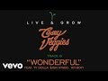 Casey Veggies - Live & Grow track by track Pt. 6 - "Wonderful"