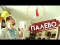 VLOG: КРАСНЫЕ ТРУСЕЛЯ