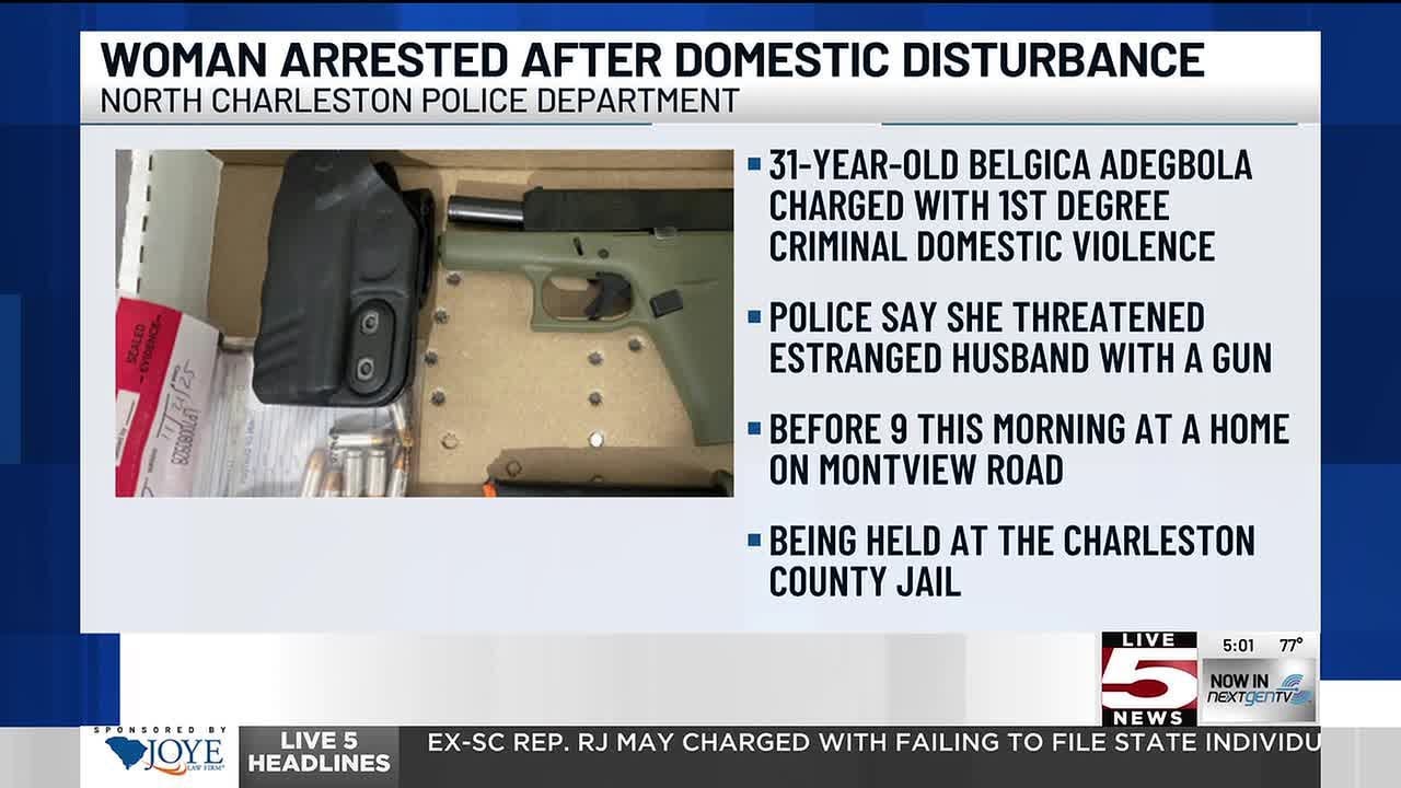 VIDEO: Woman arrested after domestic disturbance involving gun in North ...