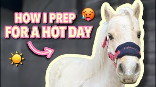 HOW I PREP MY MINI PONY FOR A HOT DAY! ☀️