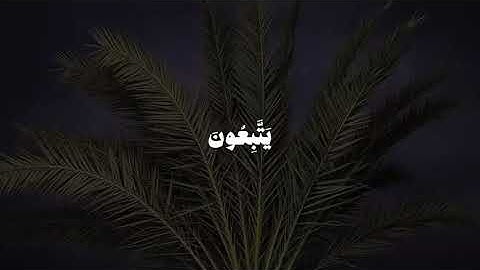 سورة النساء آيه ٢٧-٢٨