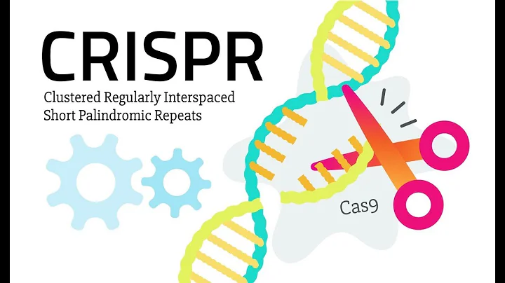 CRISPR explained: How the gene-editing tool works?