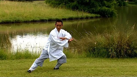 Tai Chi - Chen Style by Shaolin monk - Tao Meditat...