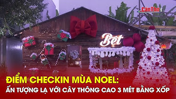 Điểm checkin mùa Noel: Ấn tượng lạ với cây thông cao 3 mét bằng xốp | Cần Thơ TV