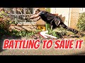 Saving the world one plant at a time lewisgardenservicesltd gardening