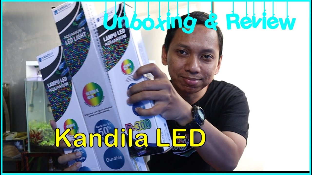 Review 4 Lampu LED Aquarium Merk Kandila