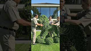 🌿🦁 Majestic Lion Topiary – Premium Green Garden Art #shorts #diy #topiary #shortvideo