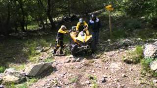 Can-Am Renegade 500, Renegade 800, Renegade 800 X