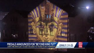 Beyond King Tut exhibit coming to Boston this summer