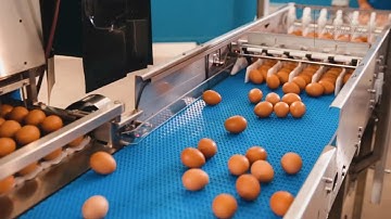 FOOD PROCESSING MACHINES - ON ANOTHER LEVEL ▶#1