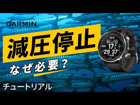 【チュートリアル】ダイブコンピューターの保守性とは？M値・GF・GF99 を理解する