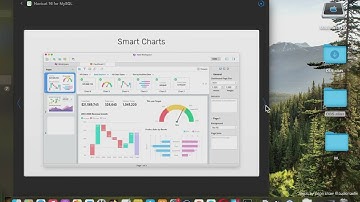 [MAC] Developer Tools: Navicat 16 for MySQL Basic Overview