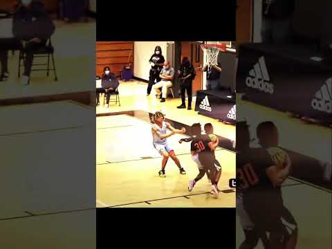 Tadow Chase Down Block Edition Basketball